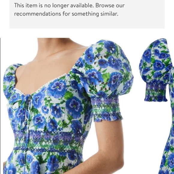 ALICE + OLIVIA Crawford Floral Eyelet Smocked Cotton Minidress
size 2 - Picture 4 of 5